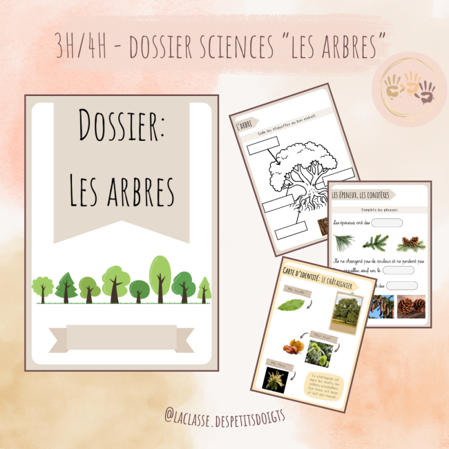 3H-4H: Sciences "les arbres"