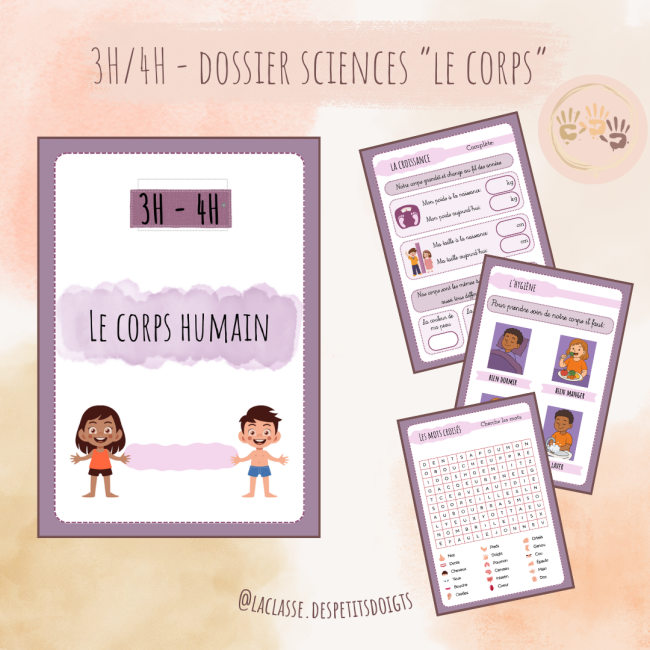 3H-4H: Sciences "le corps humain"