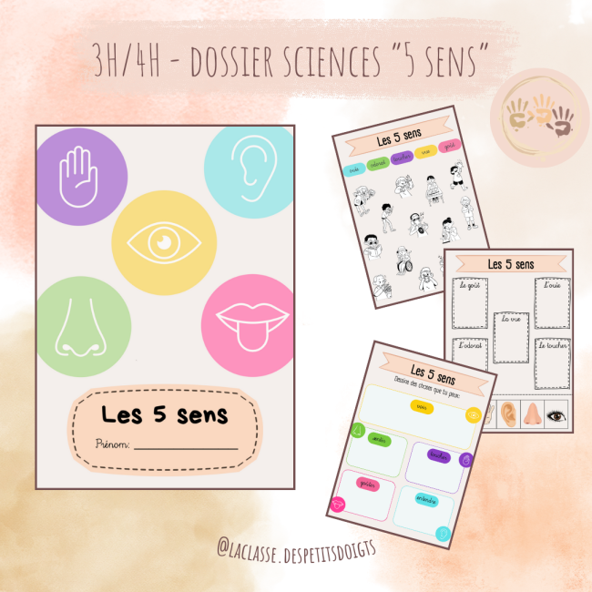 3H-4H: Sciences "les 5 sens"