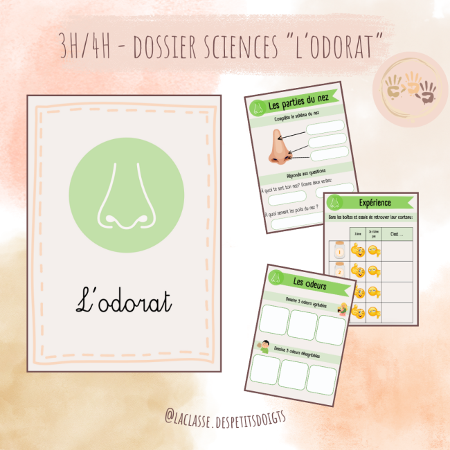 3H-4H: Sciences "l'odorat"