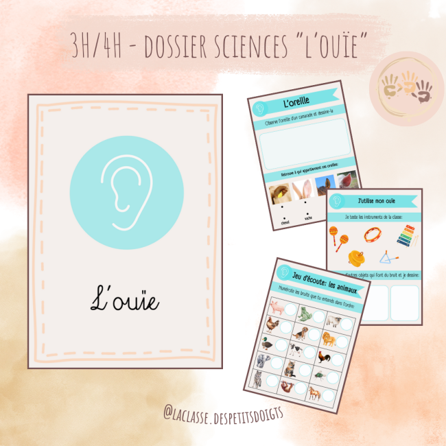3H-4H: Sciences "l'ouïe"