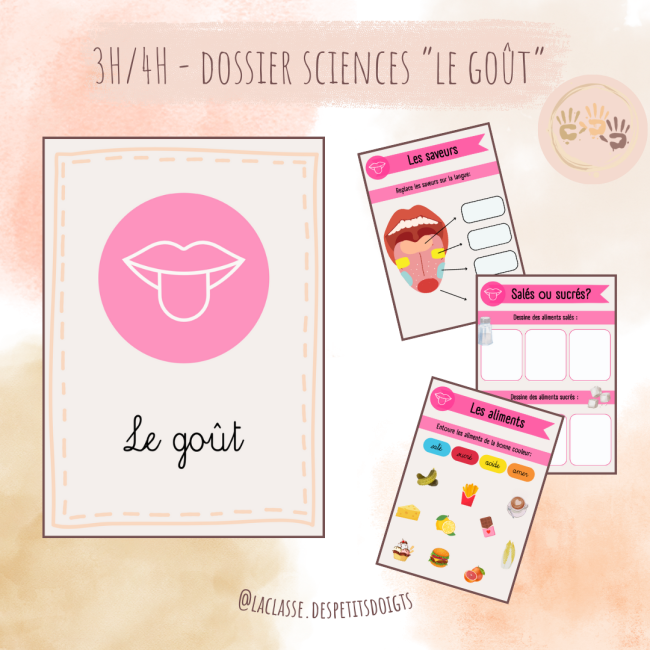 3H-4H: Sciences "le goût"