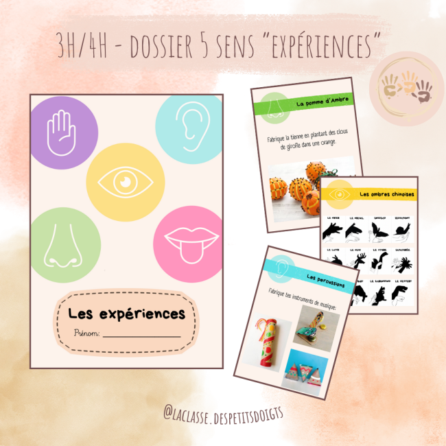 3H-4H: Sciences "expériences 5 sens"