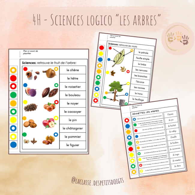3H-4H: Sciences logico révisions "les arbres"