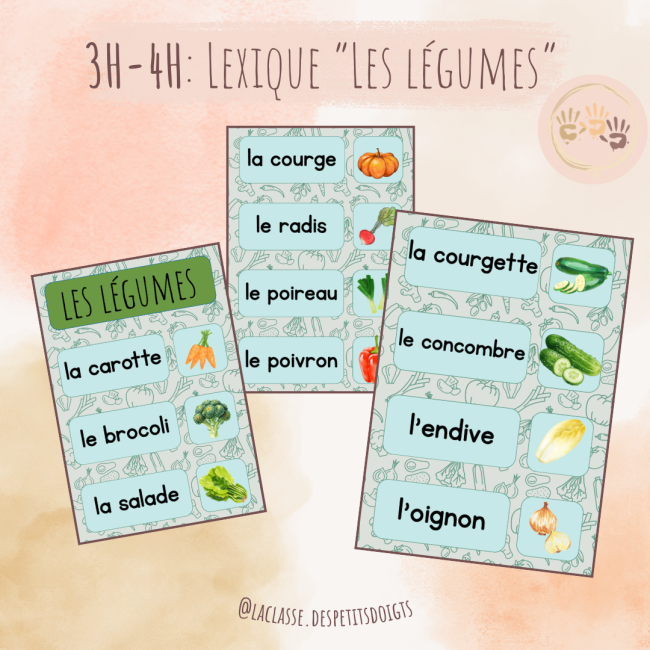3H-4H: Lexique "les légumes"